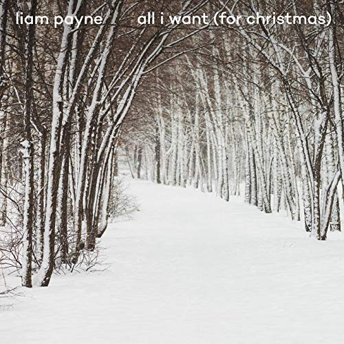 Liam Payne – All I Want (For Christmas)